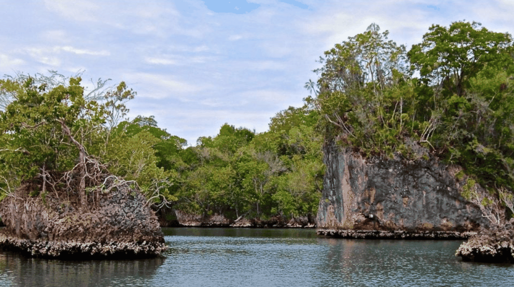 Samana: Los Haitises National Park & Caño Hondo Day Tour