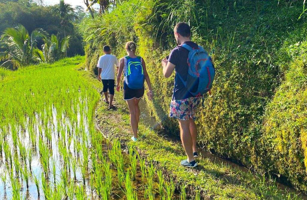 Exklusive Tetebatu: Wasserfall, Reisfelder, Affen und Weberei