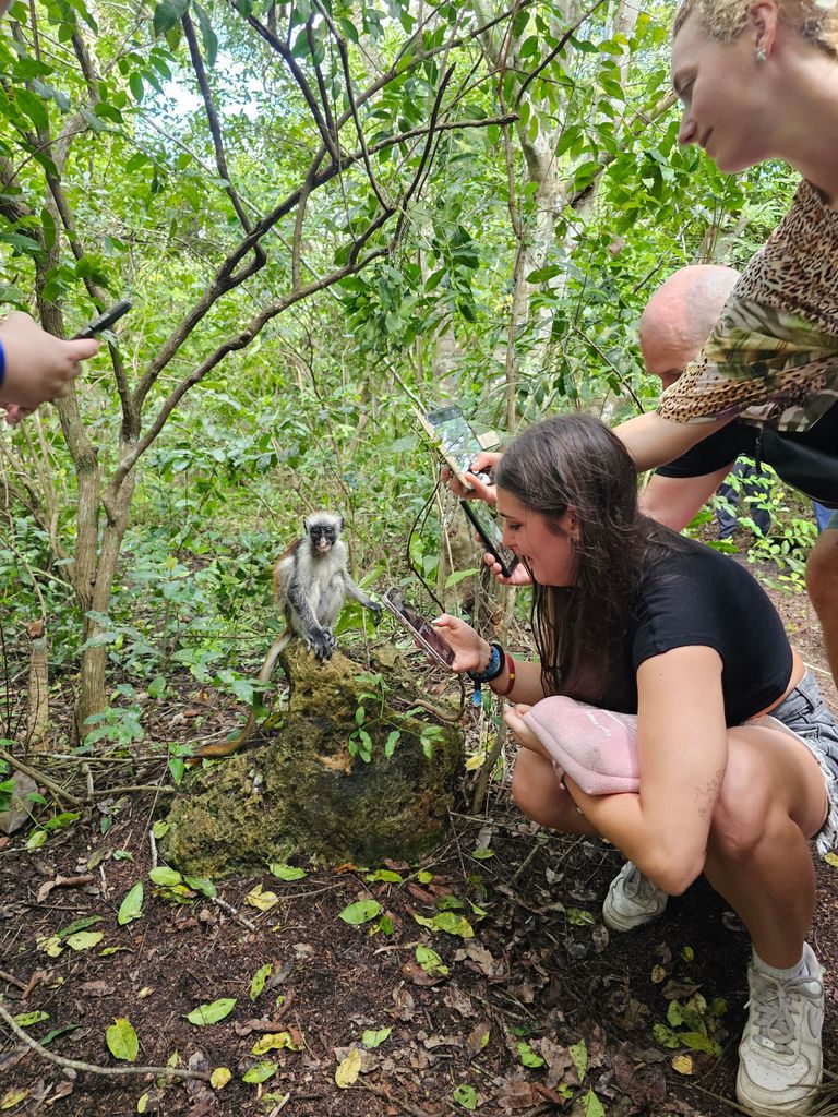 Sansibar: Tagestour im Jozani-Wald mit Schmetterlingen und Riesenschildkröten