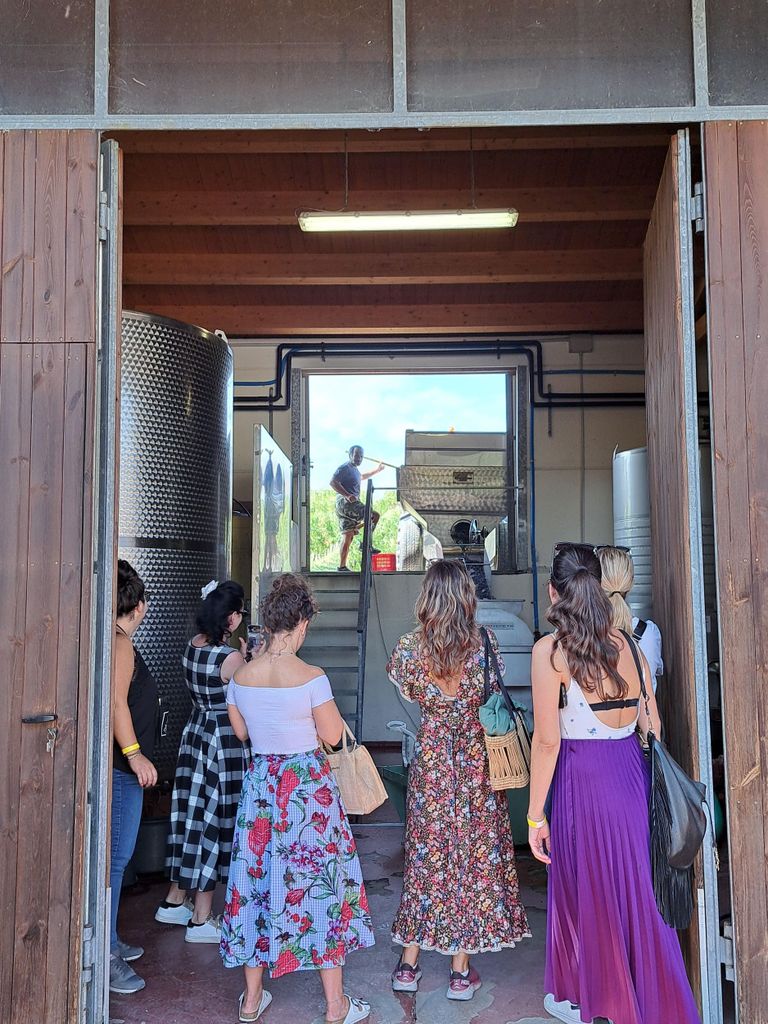 Geheimnisvolle Trauben entdecken