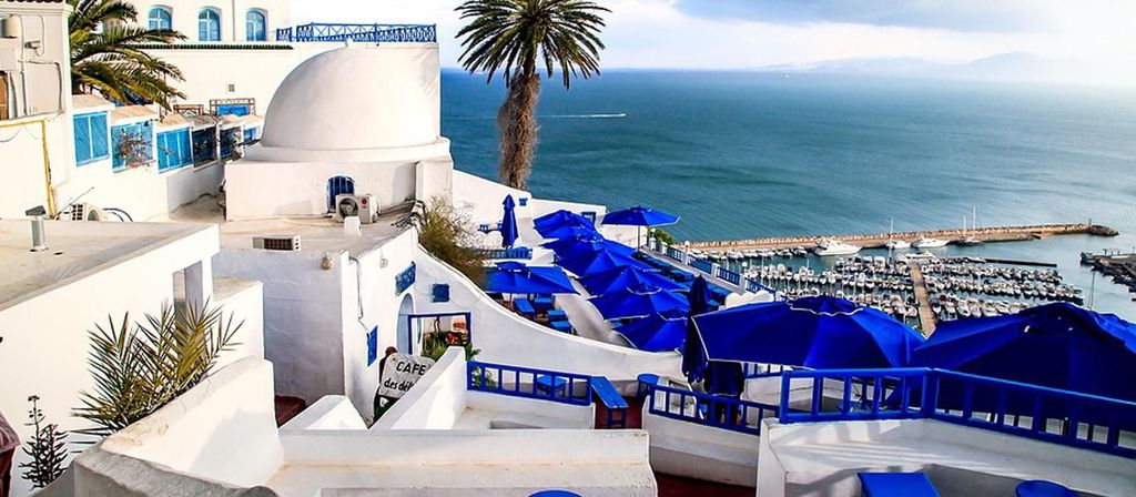 Von Tunis/Sousse: Medina Carthage, Sidi Boussaid Tour