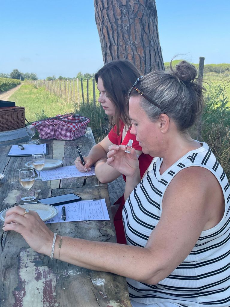 Camargue - Tag mit Flamingos, Wein und Aigues-Mortes