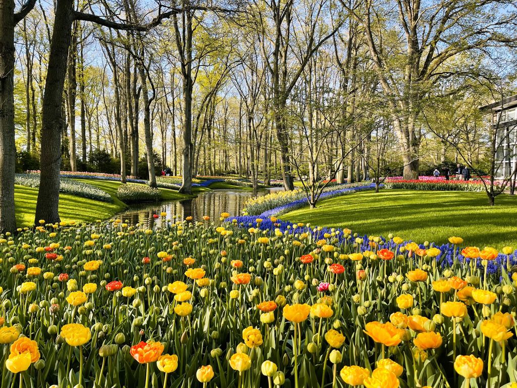 Holland: Tulpen & Windmühlen – Private Tour mit dem Auto oder Van