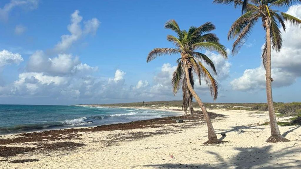 Cozumel: Private Island Tour