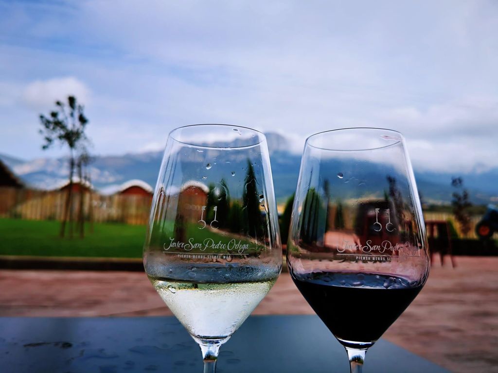 Rioja: Wein Tour mit einem lokalen Experten mit Verkostungen