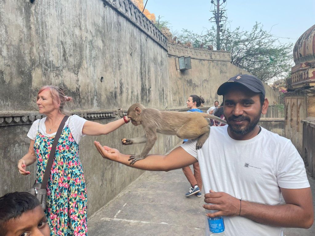 Tagestour Abhaneri mit Affentempel von Jaipur aus