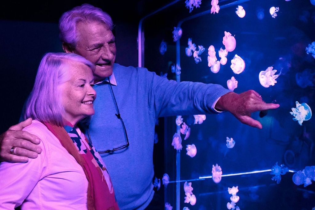 Amerikanischer Traum: SEA LIFE® Aquarium Eintrittskarte