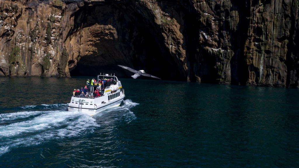 Vestmannaeyjar: Papageientaucher-, Insel- und Vulkan-Bootsfahrt