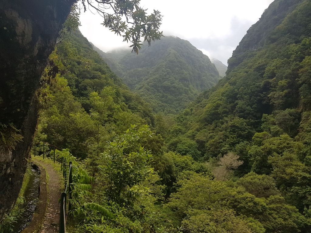 Madeira: Private geführte Castelejo Levada Wanderung
