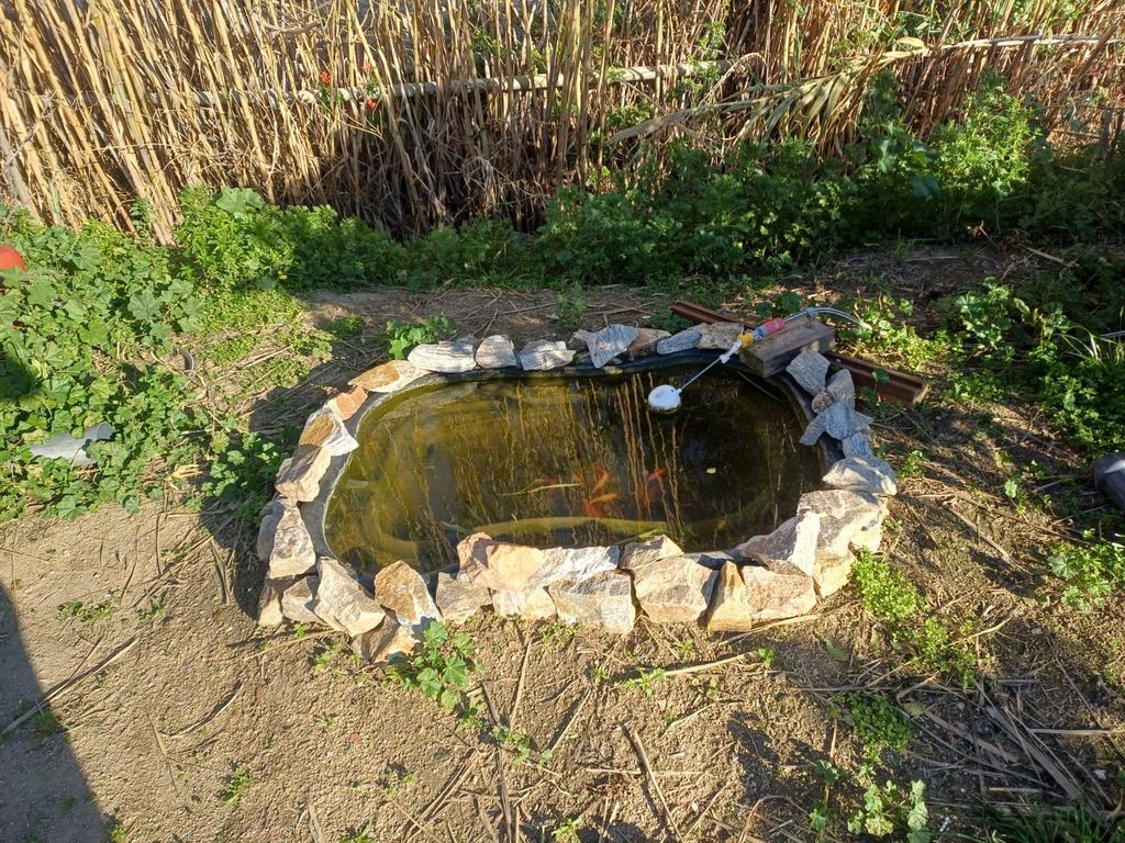 Naxos: Kräutergarten-Spaziergang bei Nacht & sensorisches Naturerlebnis
