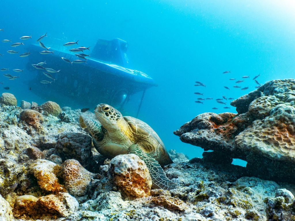 Triolet: U-Boot-Tauchgang mit Hoteltransfer