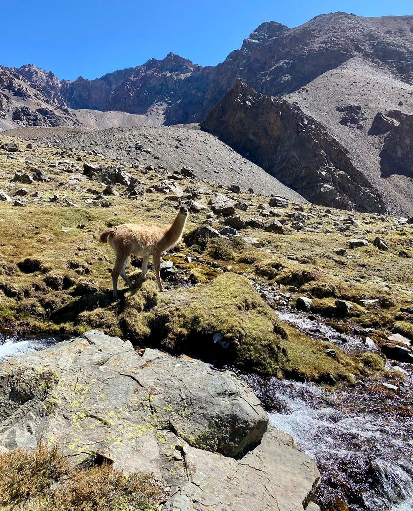 Cordon del Plata: Trekking zum Cerro Lomas Blancas 3600 m ü.d.M.