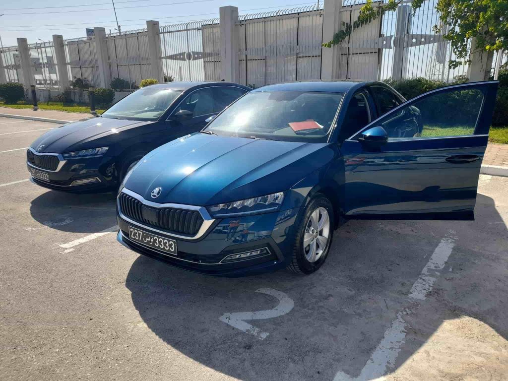 Transfer vom Flughafen Tunis Karthago