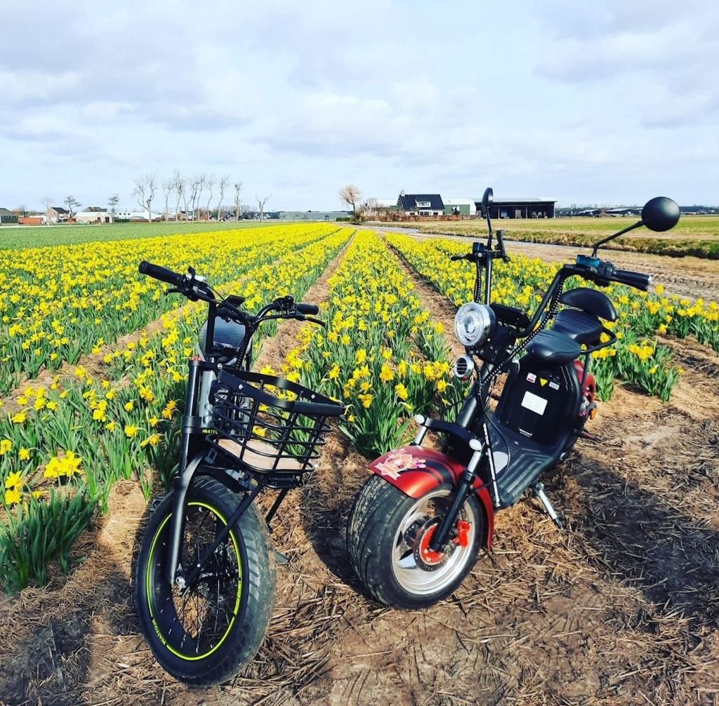 Hillegom: E-Scooter- oder E-Bike-Verleih in der Region Bulb