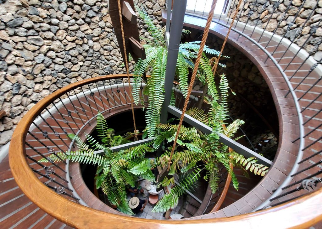 Teneriffa: Weingut Viñátigo - Kommentierte Verkostung von 3 Weinen