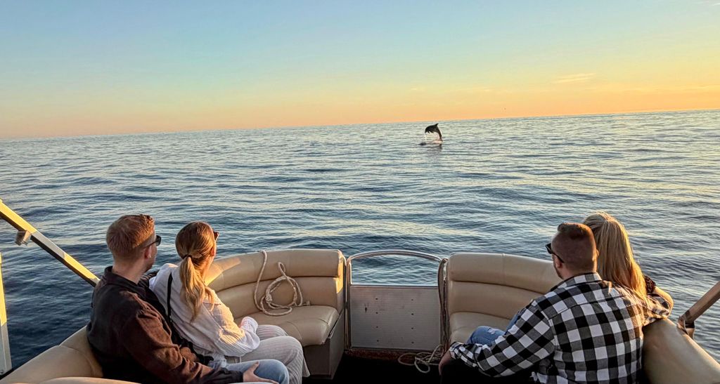 Private Bootsausflüge in Porec: Delfinbesichtigung, Panorama