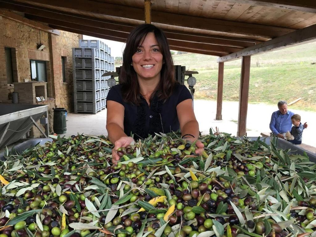 Pienza: Tour durch die Olivenölmühle und Verkostung auf der Fattoria Fregoli