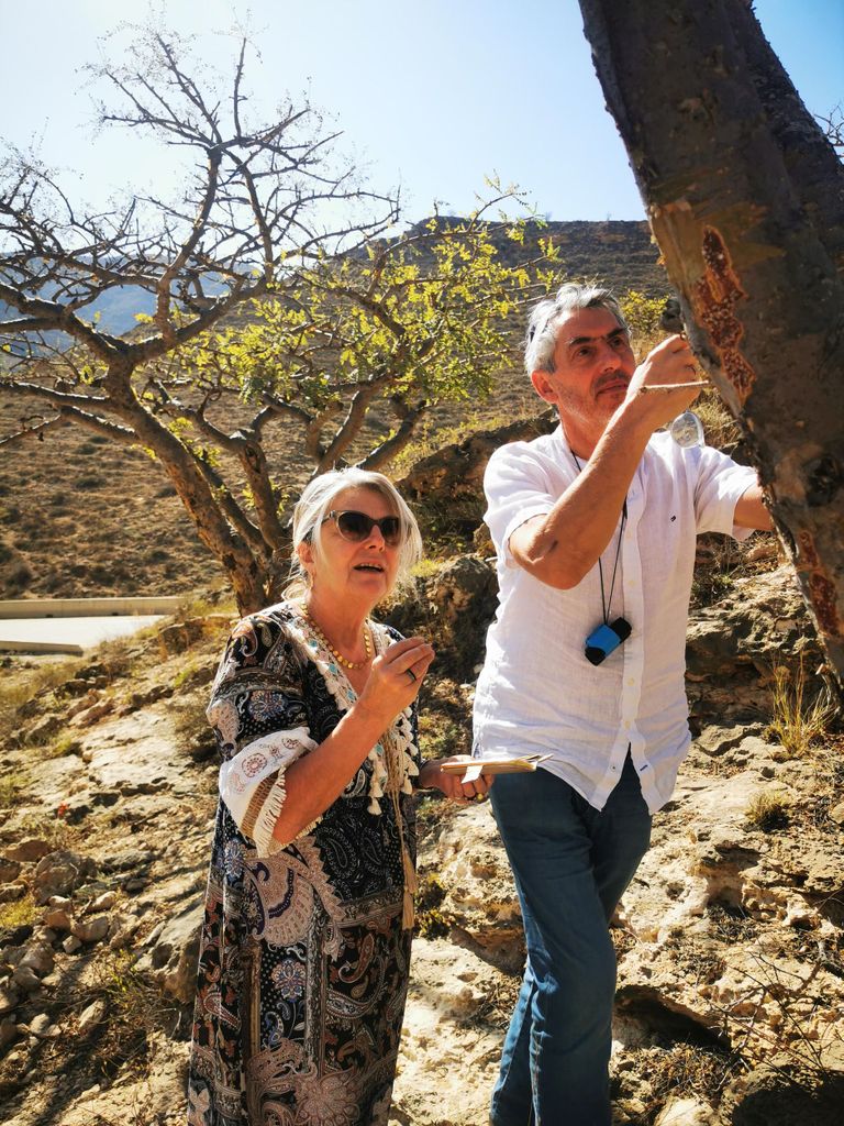 Salalah East Private Tour von VisitSalalah