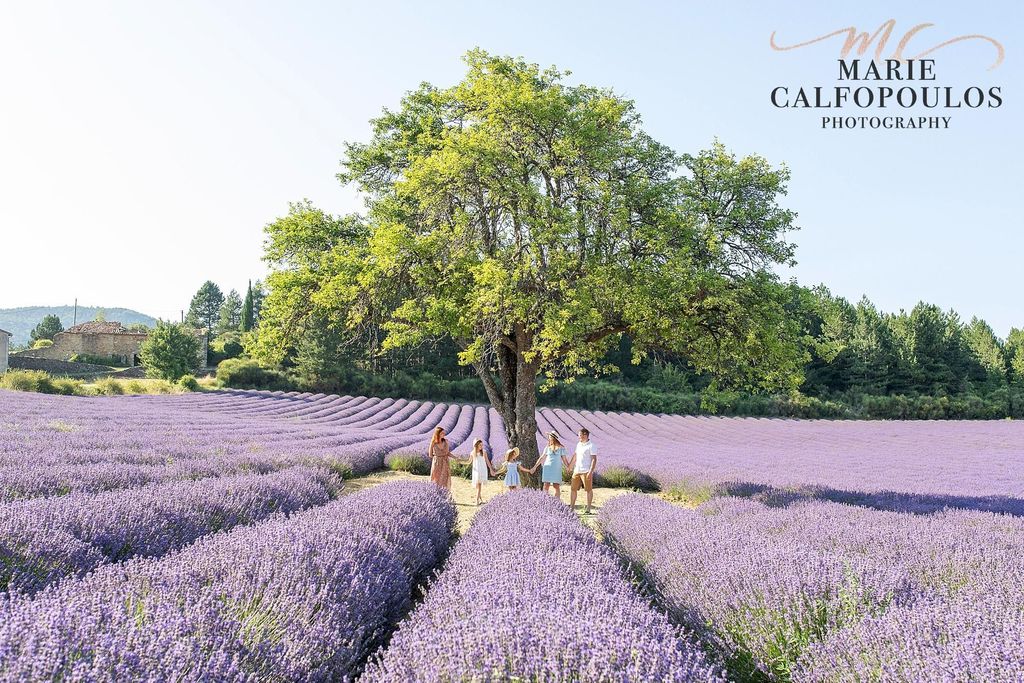 Provence: Privates Fotoshooting mit einem professionellen Fotografen