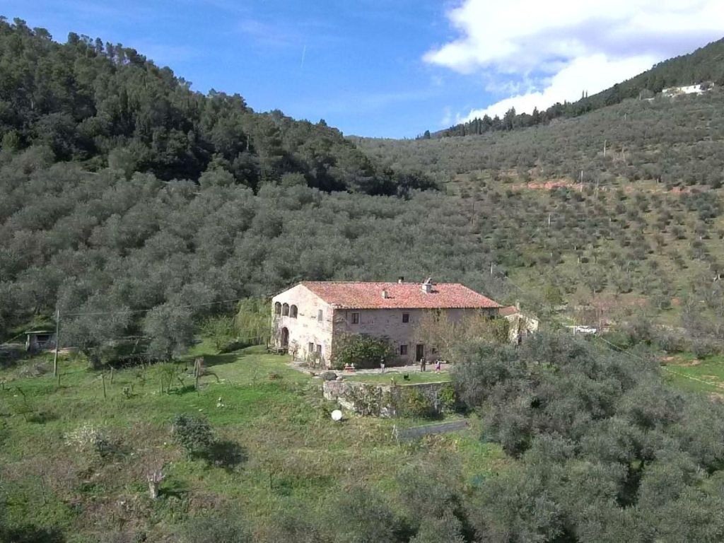 Olivenmühlen Tour mit Öl- und Foodtastings in der Nähe von Pisa