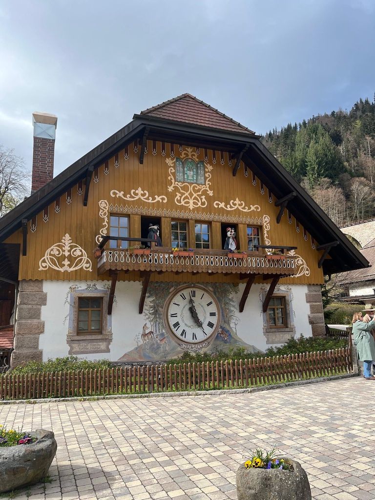 Basel: Schwarzwald, Wasserfall & Berge, Seen – private Tour