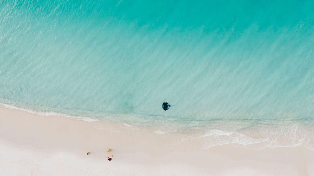 Sydney: Jervis Bay Tour mit Stränden, Koalas & Kängurus