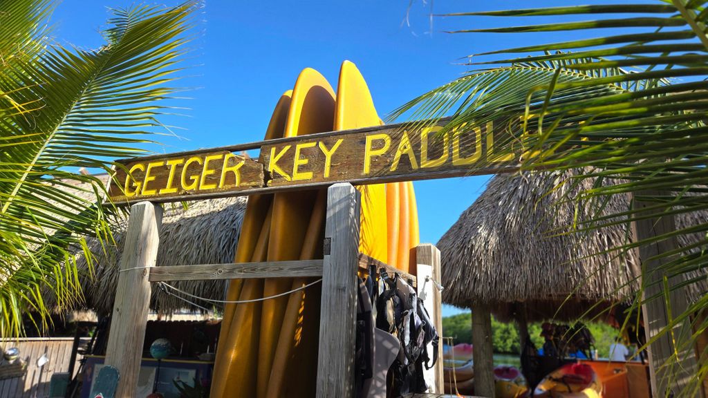 Key West: Mangroven Kajak oder SUP Eco Tour