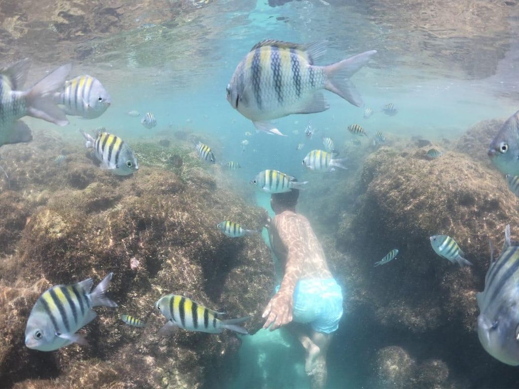 Von Recife: Strandtag in Porto de Galinhas mit Jangada inkl.