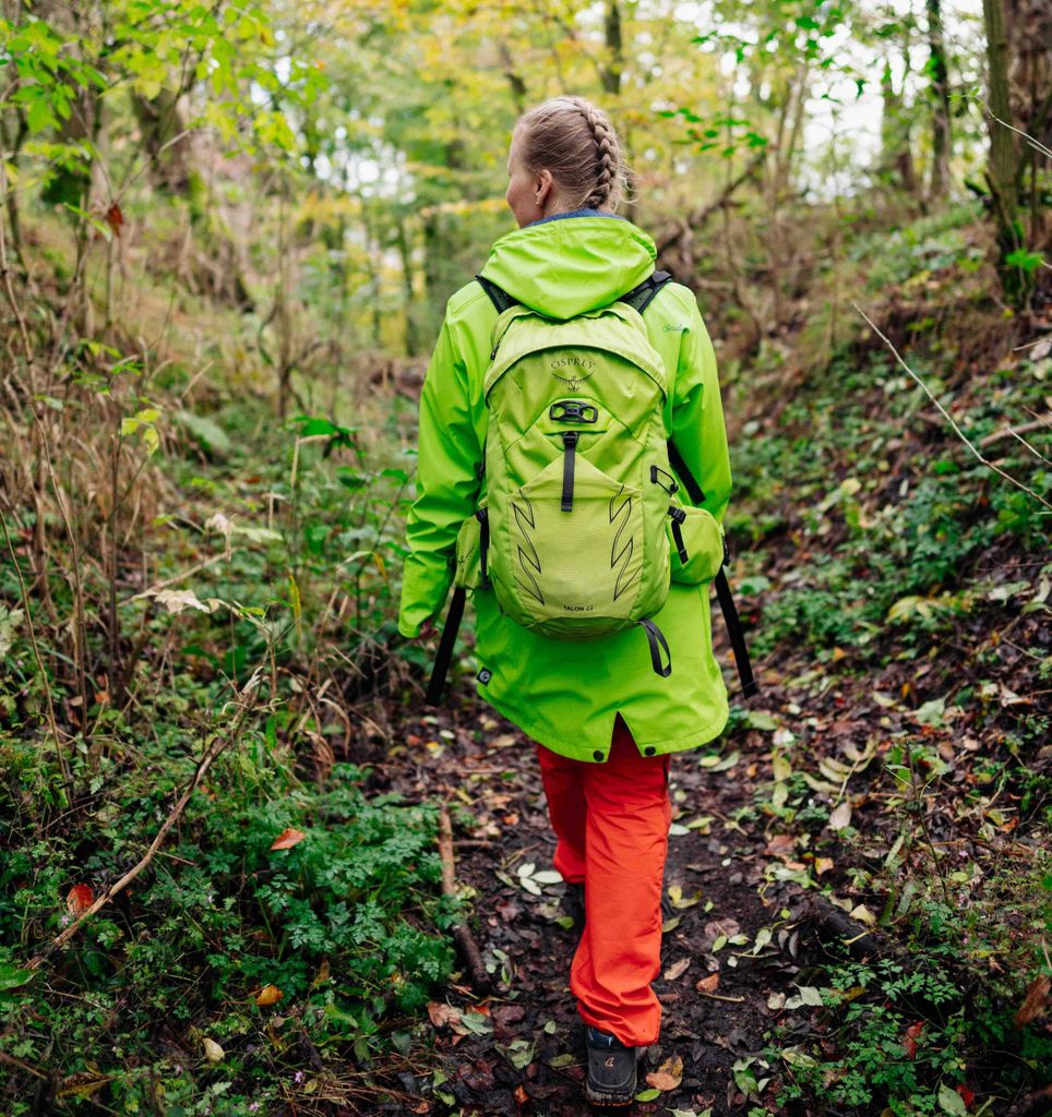 Kassel: Herkules Vital-Tour - Geführte Wanderung durch den Habichtswald