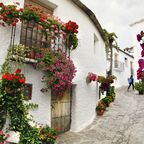 Blumengeschmückte Gasse in andalusischem Dorf