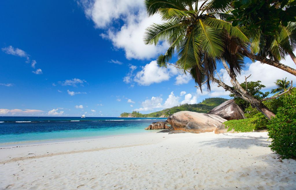 Tropical Beach Adventure Tour