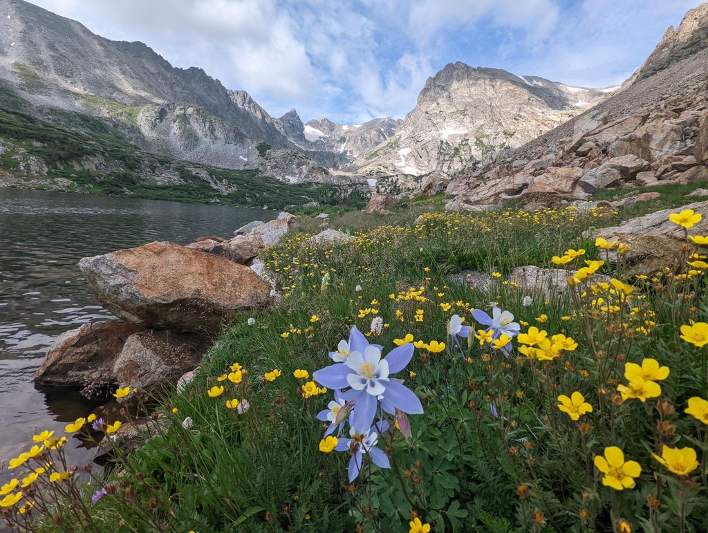 Denver: Private Tour durch den Rocky Mountain National Park