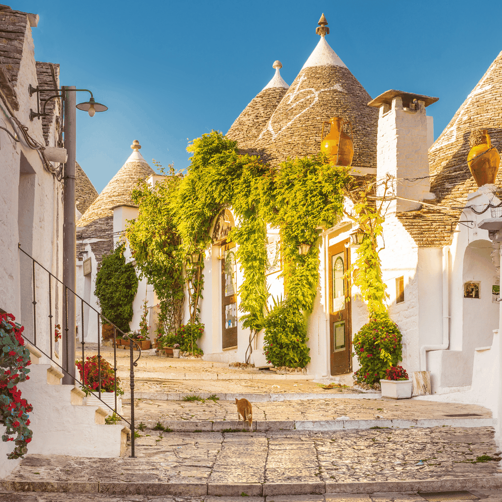 Geführte Tour durch Alberobello Trulli mit Transfer inklusive