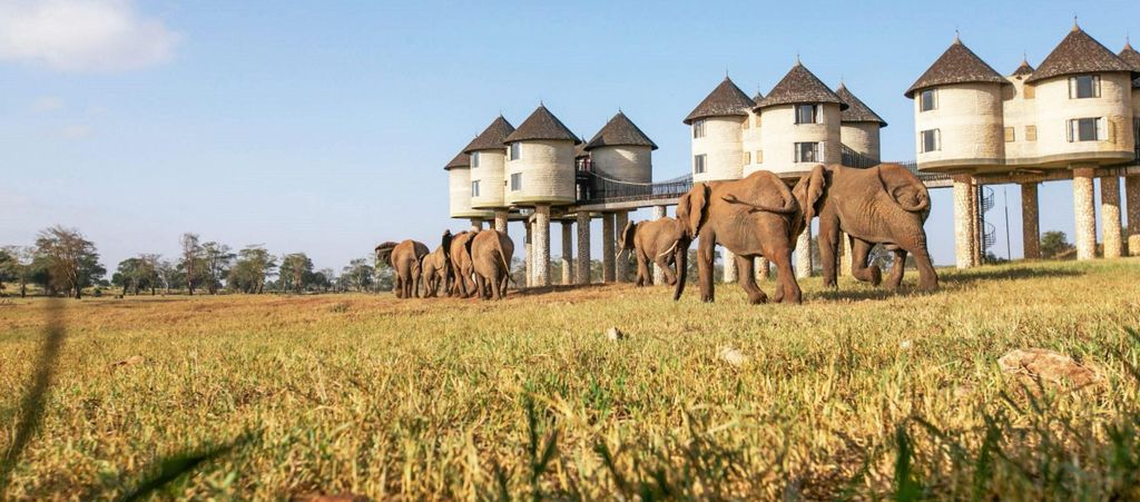 2 Tage Tsavo Ost und Saltlick-Safari ab Diani/Mombasa