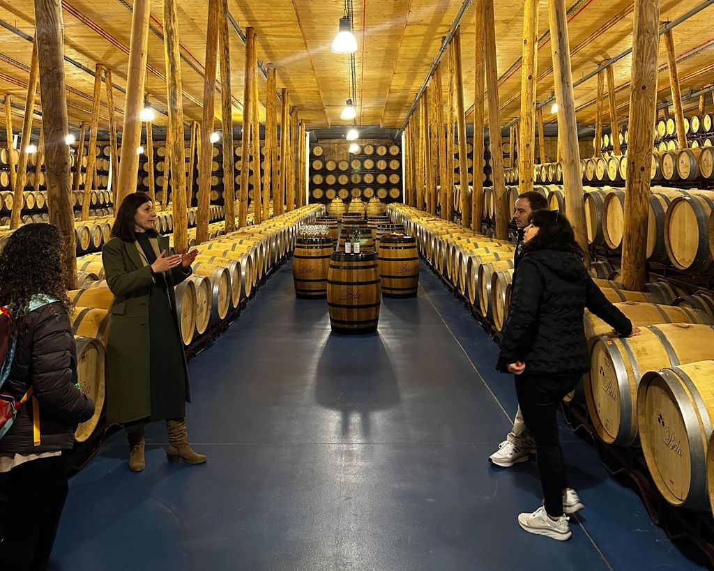 Madrid: Tour durch die Weinregion Ribera del Duero mit Verkostungen und Mittagessen