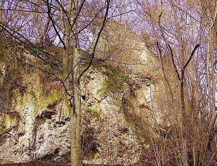 Ruine Dreimühlen, Namensgeberin des nahe gelegenen Wasserfall. Unterhalb der Ruine führen der Geo-Pfad, der Eifelkrimi-Wanderweg und der Eifelsteig entlang.
