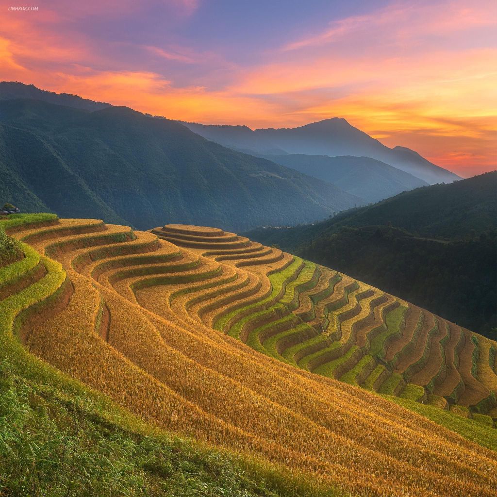 Von Sapa: 1-tägige geführte Wanderung nach Lao Chai und Ta Van mit Mittagessen