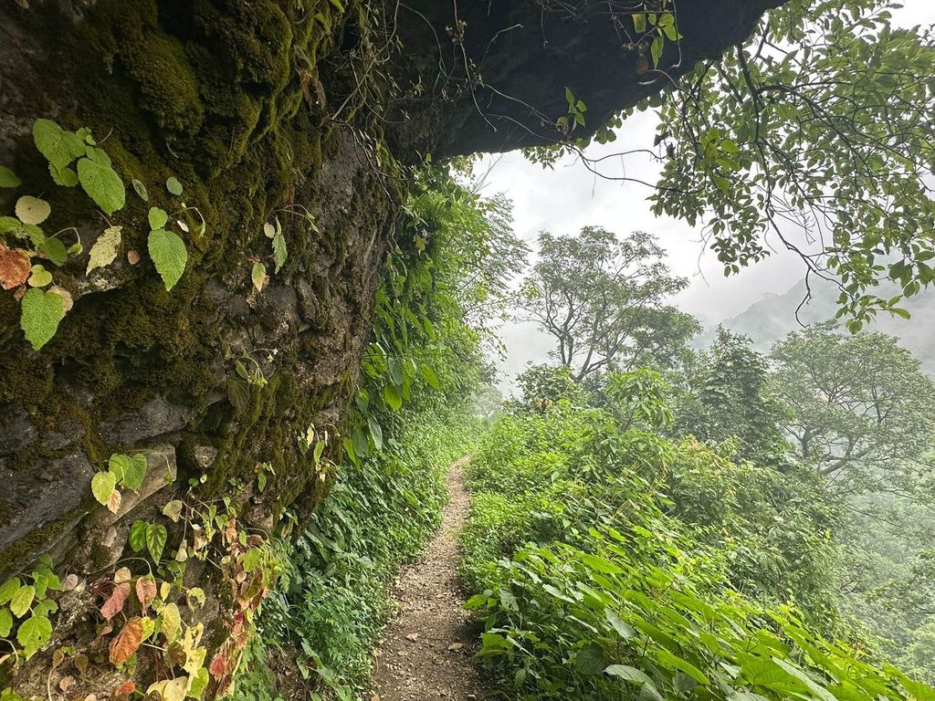 Tageswanderung zum Sonnenaufgang in Rishikesh