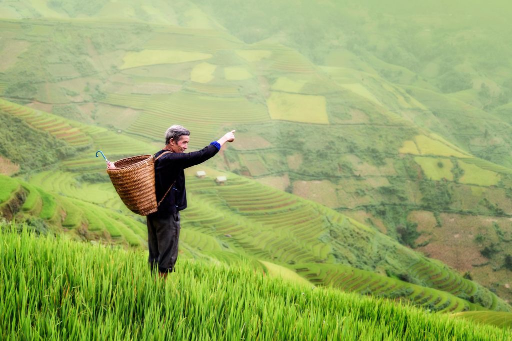 Ab Ubud: Abendliche Glühwürmchen-Tour im Taro-Dorf