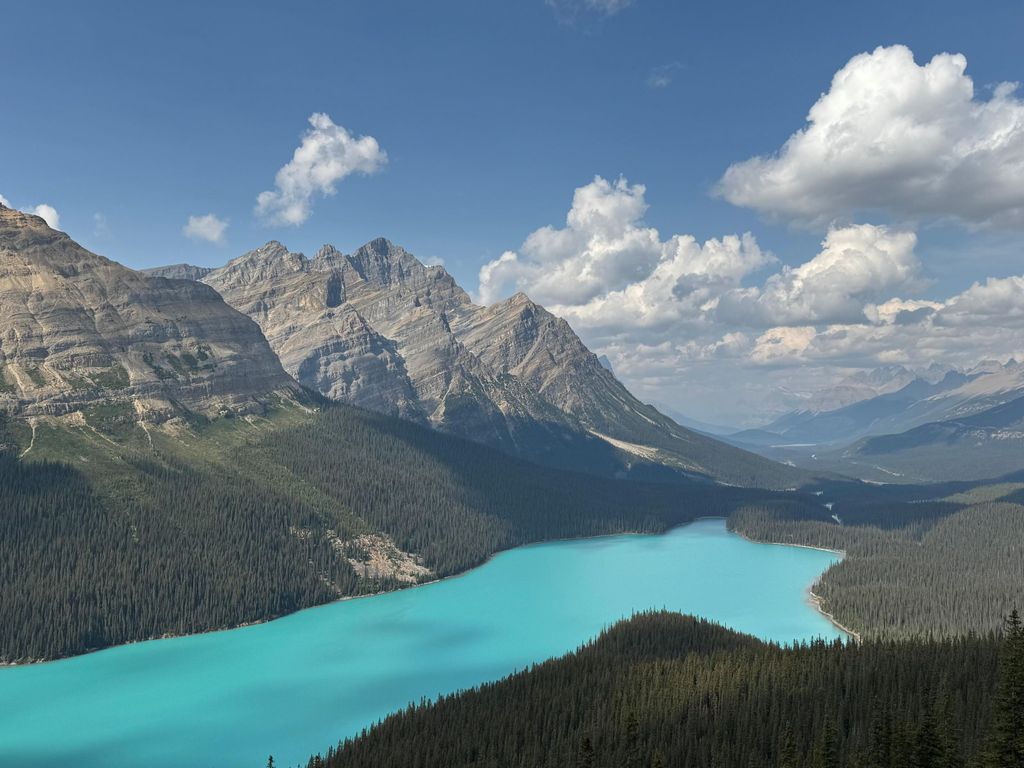 Tour: Peyto Lake/Takakkaw Falls, Lake Louise & Emerald Lake