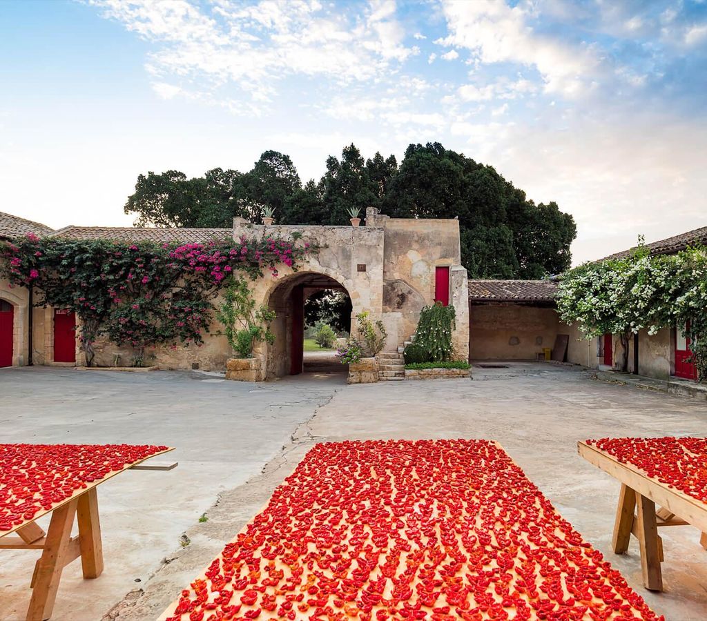Noto Barock-Tour und Verkostung im Weinkeller in den sizilianischen Weinbergen