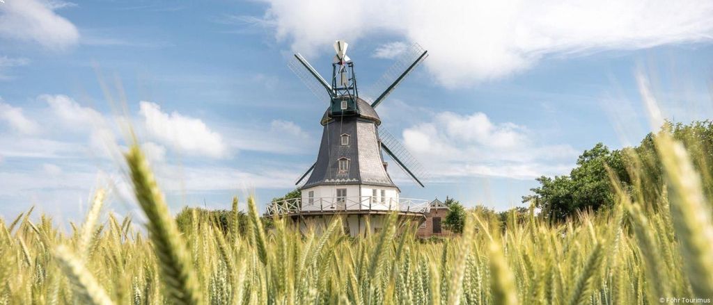 Nordstrand: Tagesfahrt mit dem Schiff nach Föhr