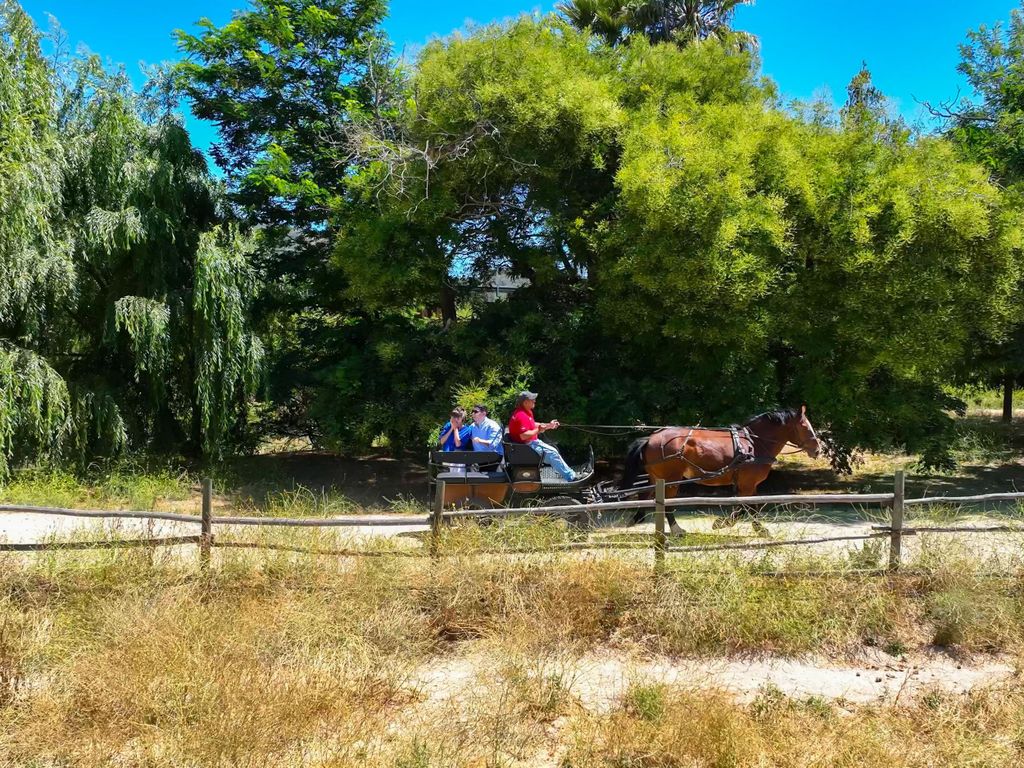 Curacaví-Tal: Private Weintour Viña Lopez Pangue und El Cuadro