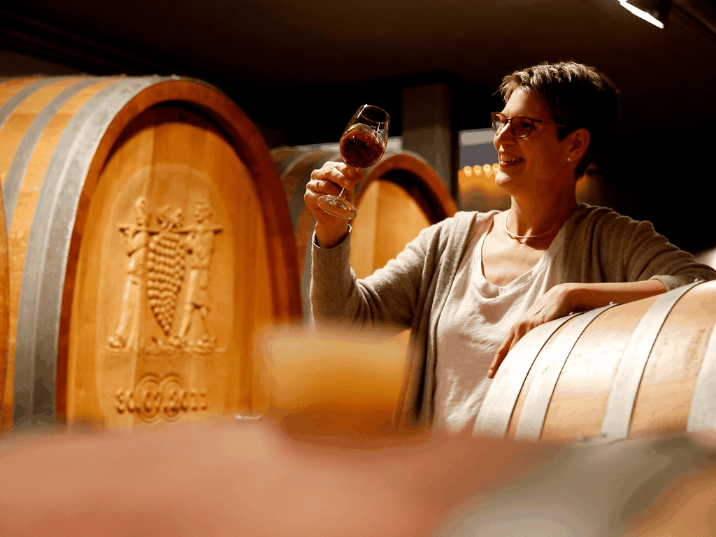 Biowein-Entdecker-Tour mit Verkostung im Bioweingut Mohr-Gutting (Pfalz)