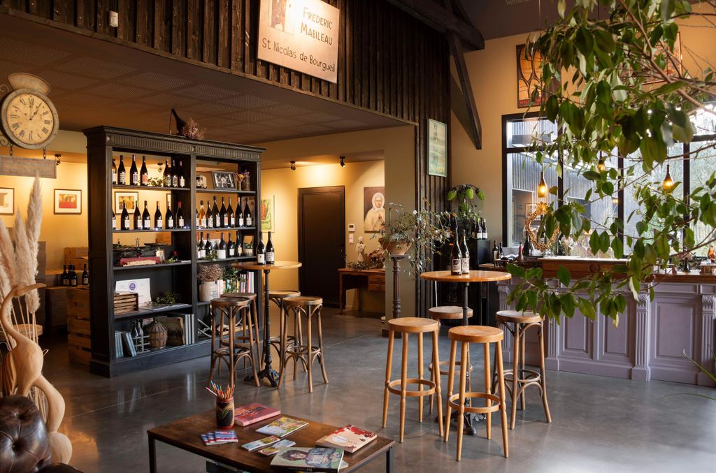 Saint-Nicolas-de-Bourgueil: Weingut-Tour und Weinprobe