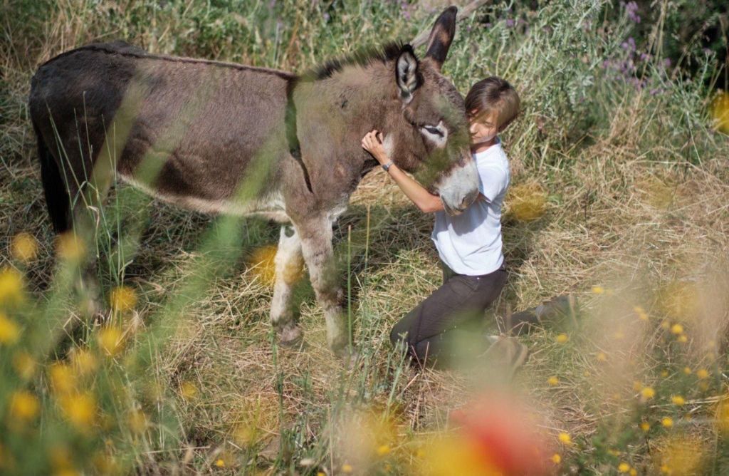 La Pieve: Spaziergang mit Eseln in den Hügeln von Pisa