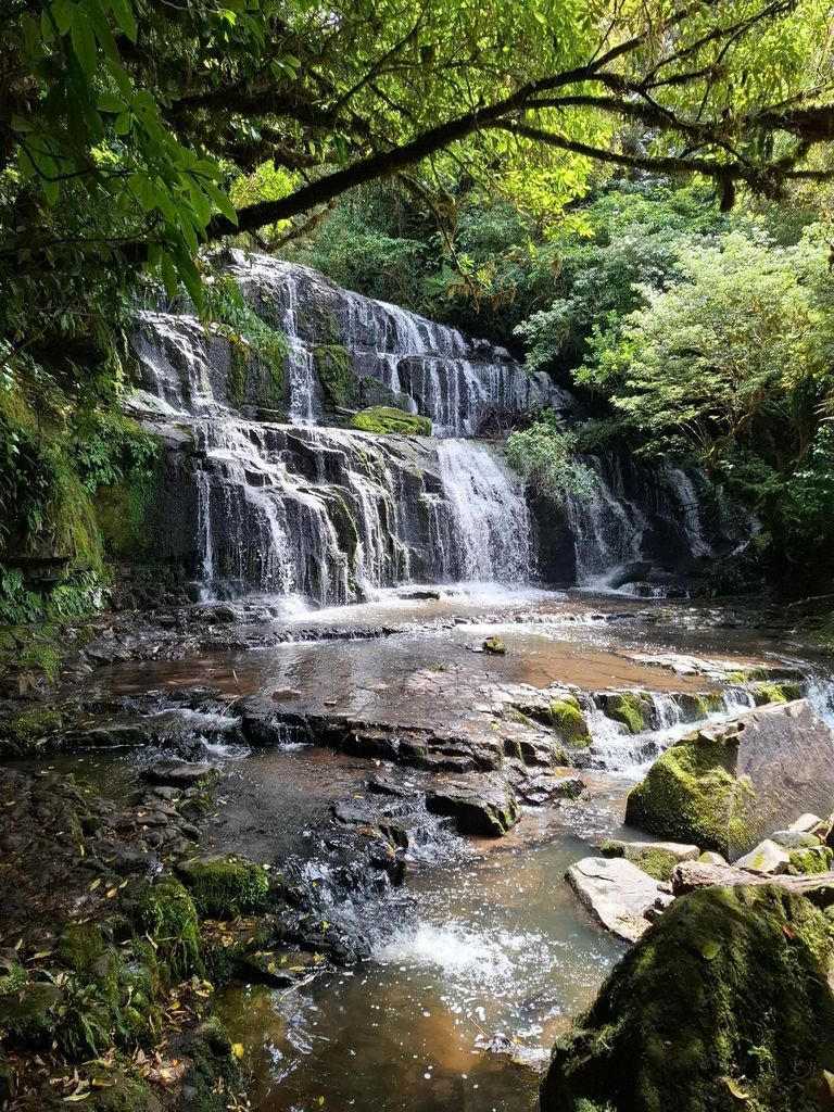 Dunedin: Catlins private Tour mit Wasserfällen & Wildtieren
