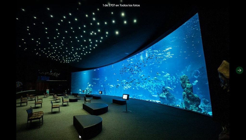 Gran Canaria: Tour zum Poema del Mar und Hafen von Las Palmas