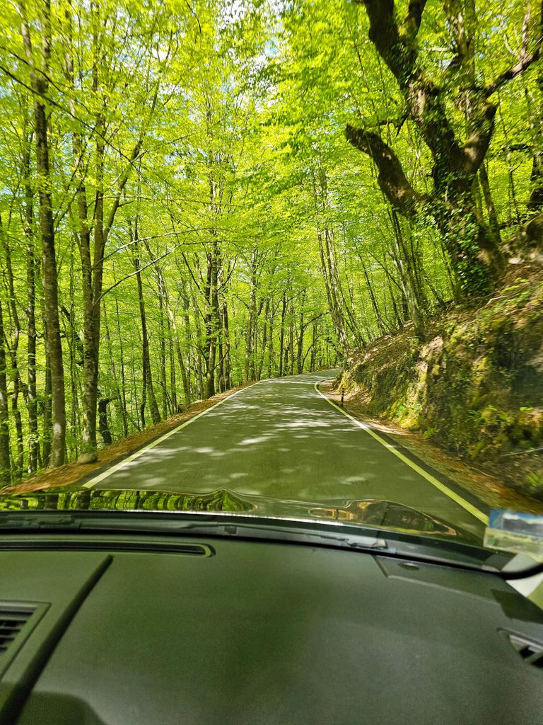 Von Porto aus: Ganztagestour im Gerês-Nationalpark