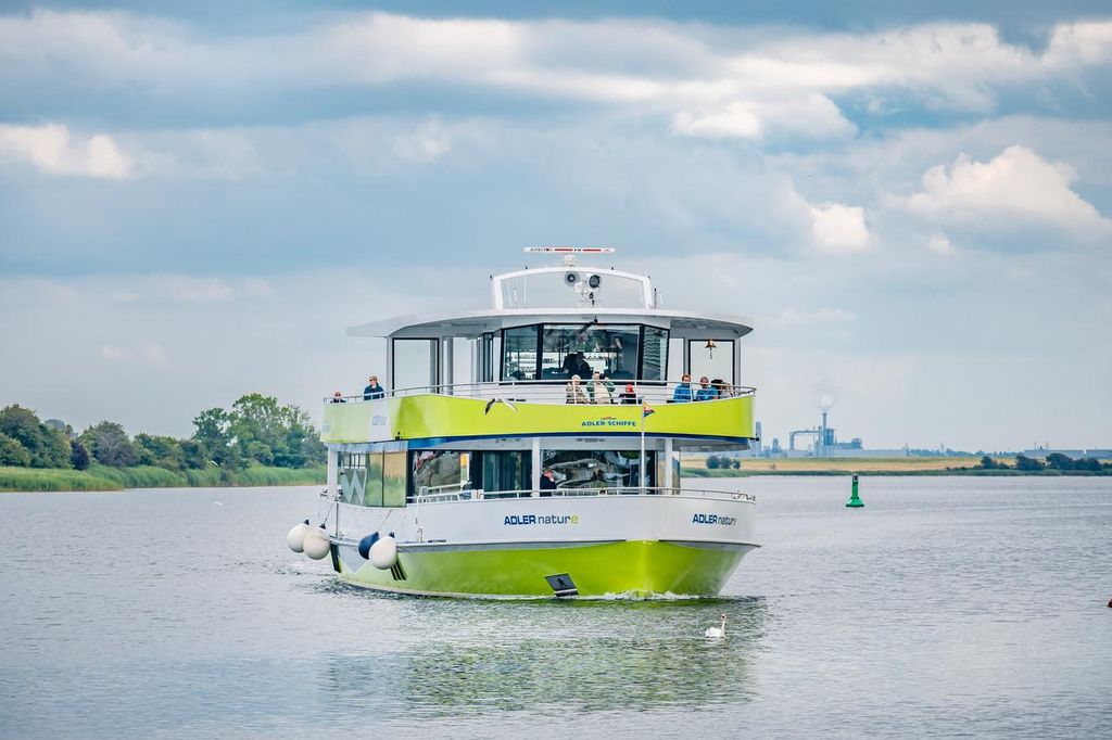 Wismar: Elektrische Bootstour an der Walinsel vorbei mit Zwischenstopp auf Poel
